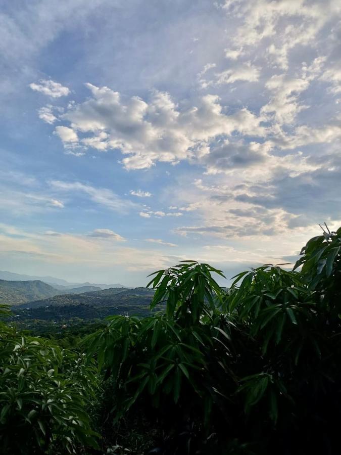 El Mirador -