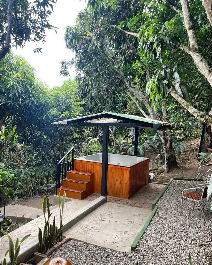 El Mirador - Apartment *